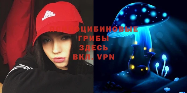 бутират Пролетарск